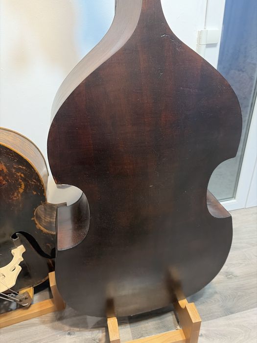 Bass de vanzare fin 1954