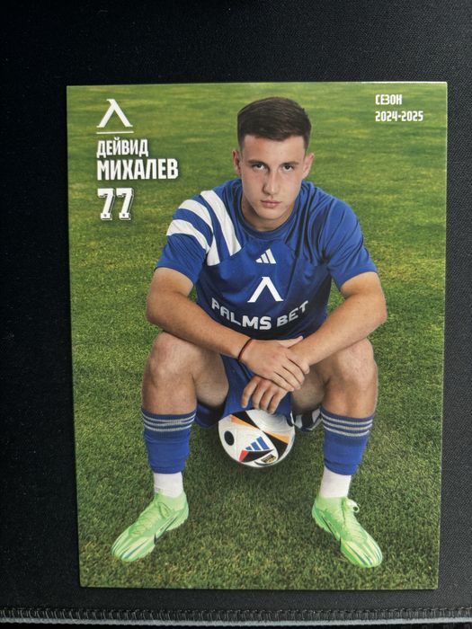 Левски София Карти 2024/25