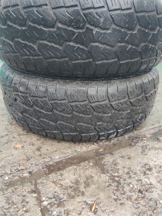 245 70 р16 летние