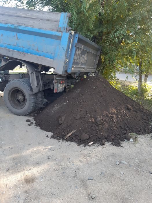 Чернозем плодородный