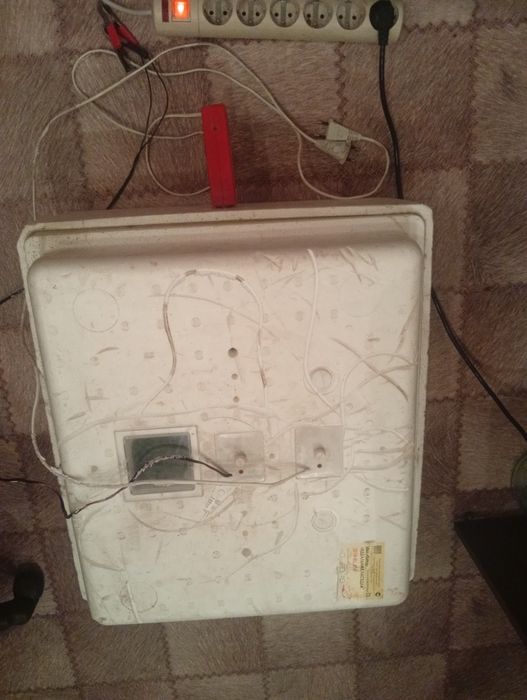 Продаю инкубатор