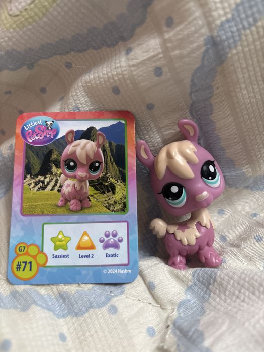 Lps альпака littlest pet shop