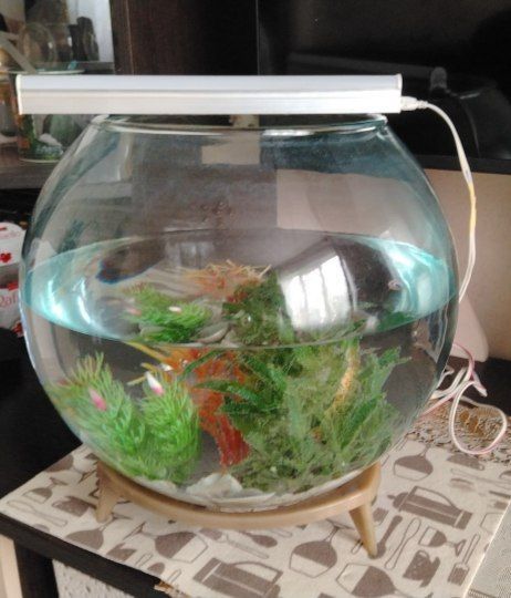 Круглый Аквариум