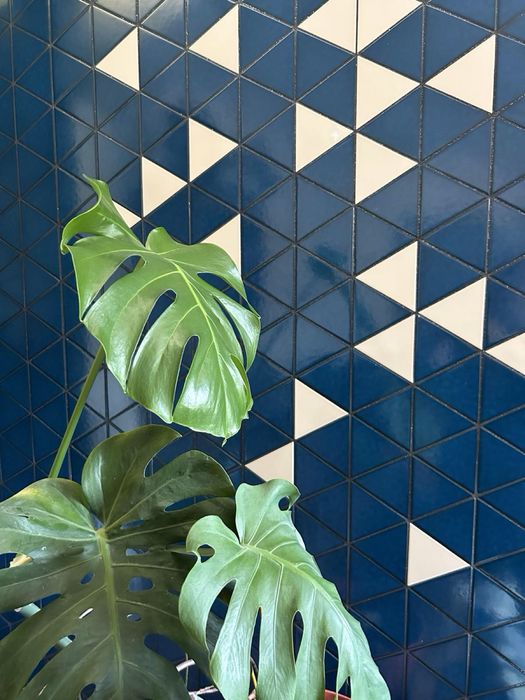 Фаянсови плочки