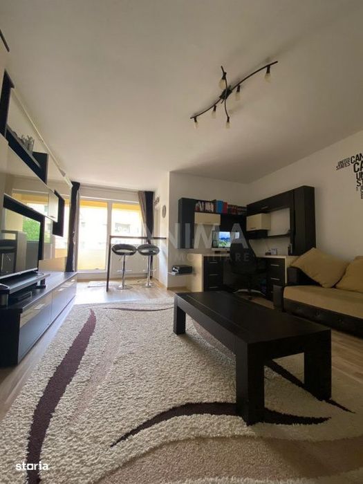 Apartament 1 camera, 40 mp, etaj 1, Str. Viilor, mobilat si utilat