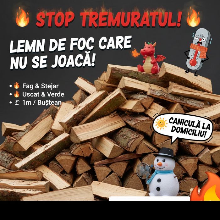 Lemne de foc: FAG, STEJAR, USCAT și VERDE trunchi sau la m ster