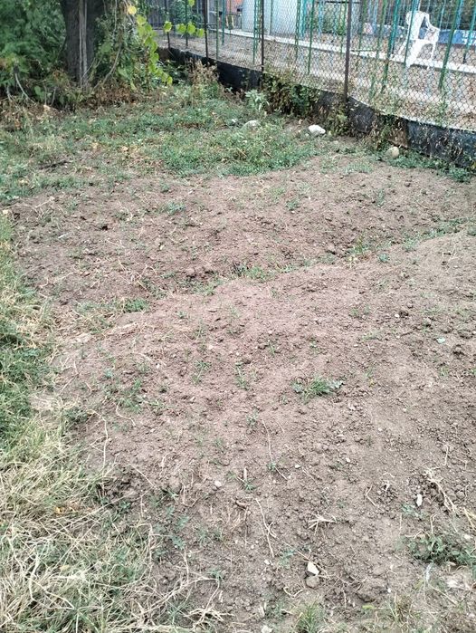 Vând teren intravilan, central, Str. Dorobanti,  in Dr. Tr.Severin