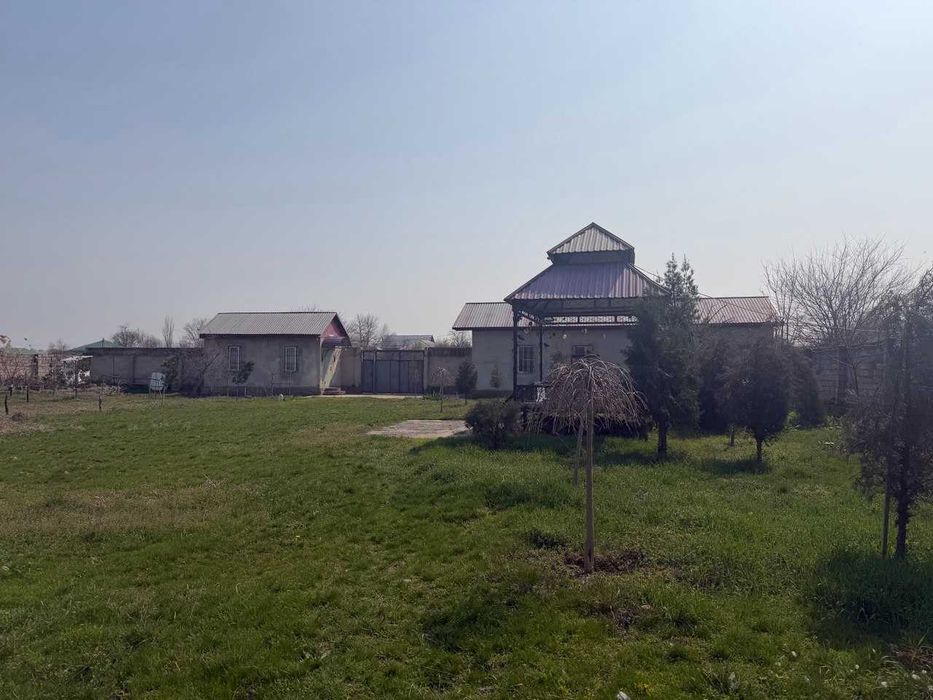 16 соток земли у воды рядом с Ташкентом — всего 13 км от круга Рохат