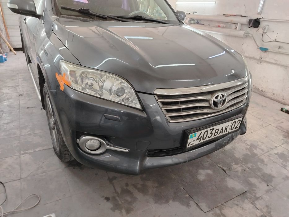 Костоправ моляр, полировка ПДР