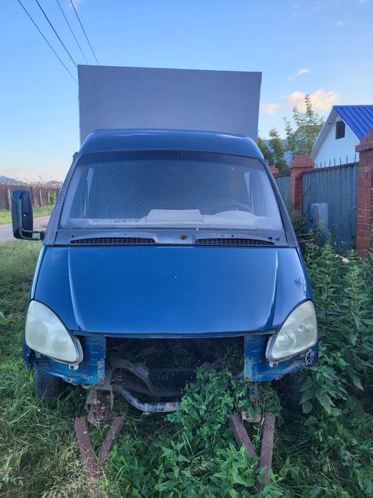 Газель удлинённая