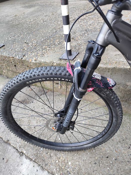 Specialized Rockhopper 29