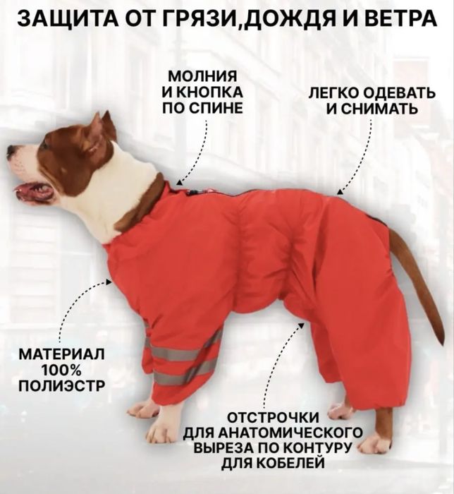 Дождевик-комбинезон для собак