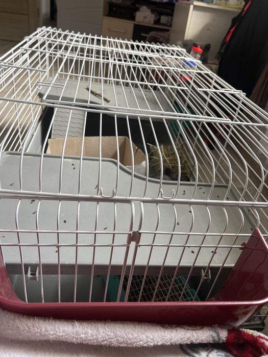 Продам шиншиллу с клеткой