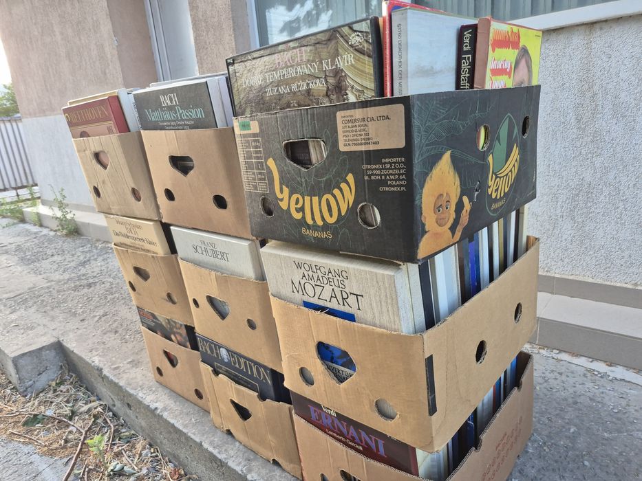 Vând Lot 100lp Discuri Vinil colectie muzica clasica pentru pick Up