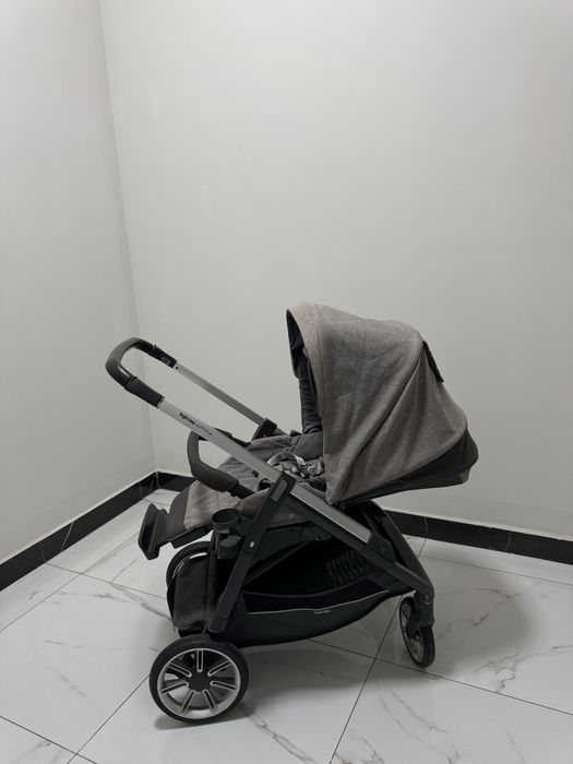 Inglesina aptica