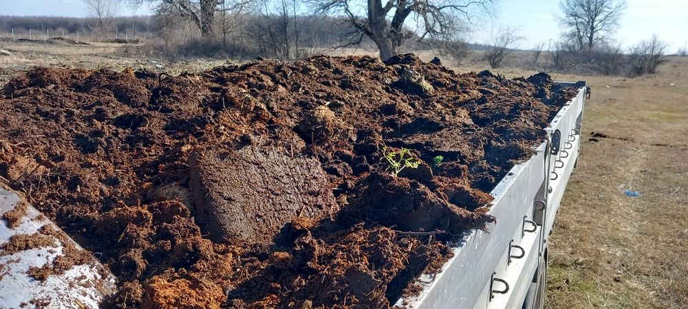 gunoi mranita de oaie