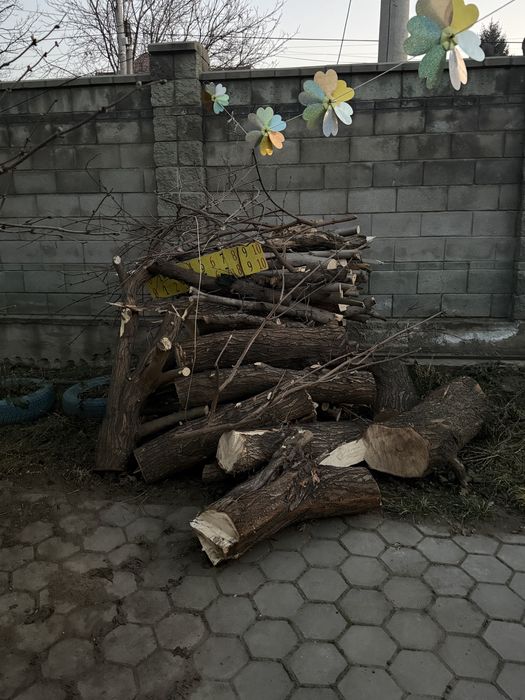 Отдам дрова бесплатно