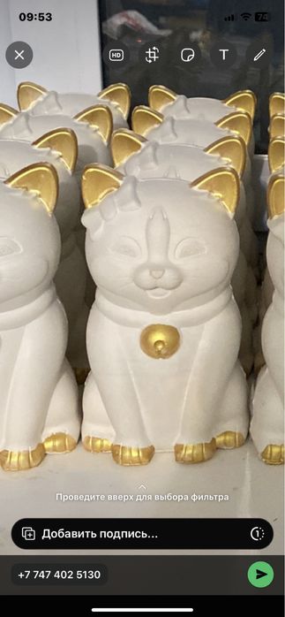 Калта на 12 человек