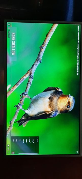 Display Laptop 17.3" Full HD, AUO B173HTN01.1