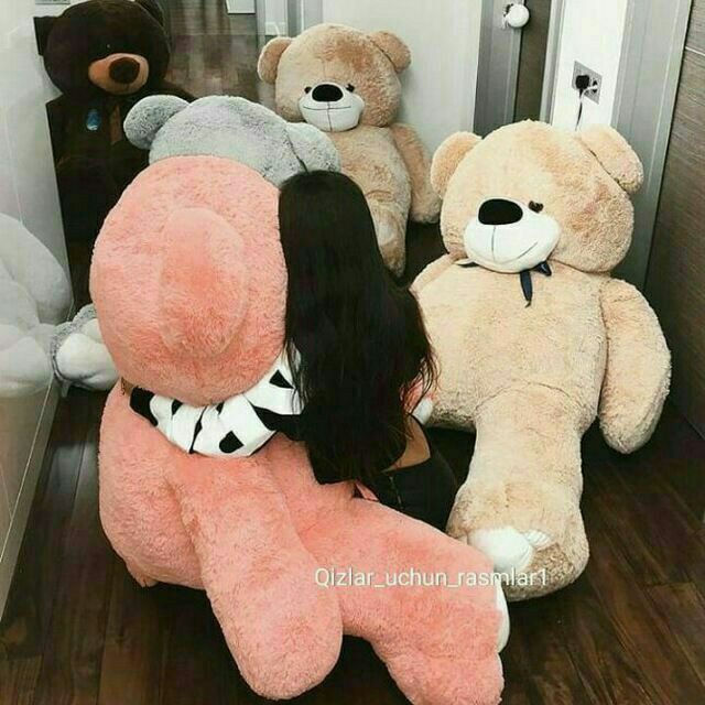 Gigant ayiq va Teddi ayiqlari