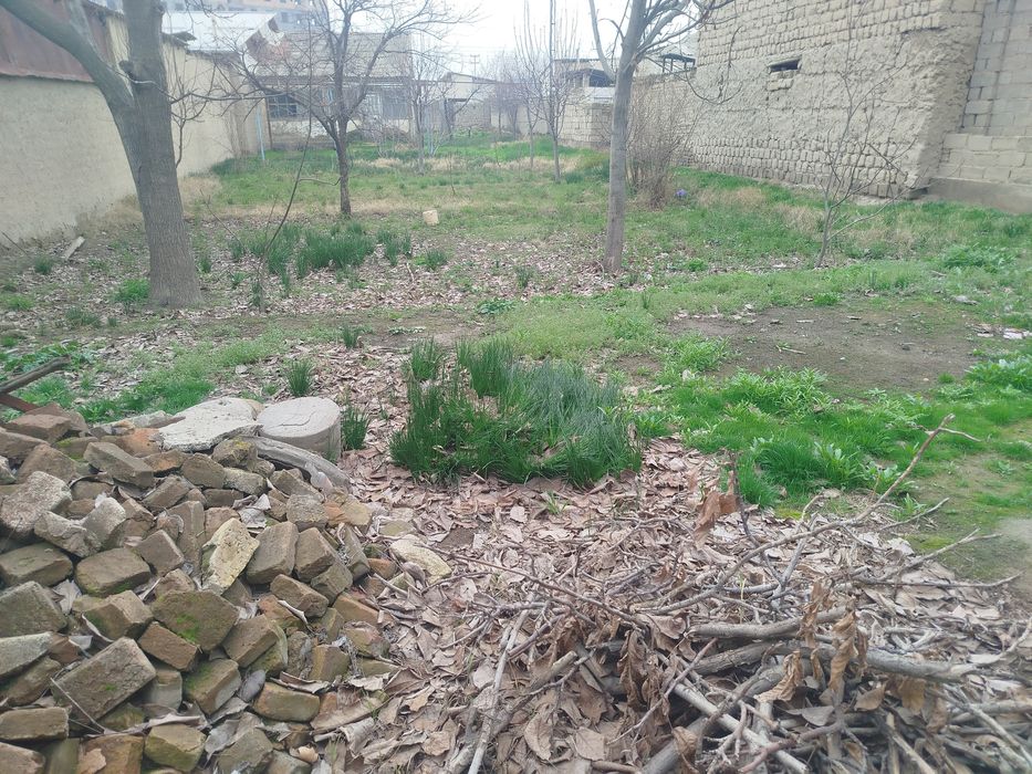 Самарканд Паст даргомда ховли сотилади