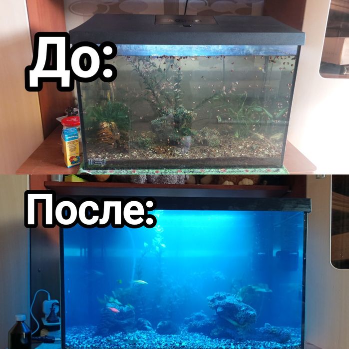 Обслуживание аквариумов, чистка, перезапуск