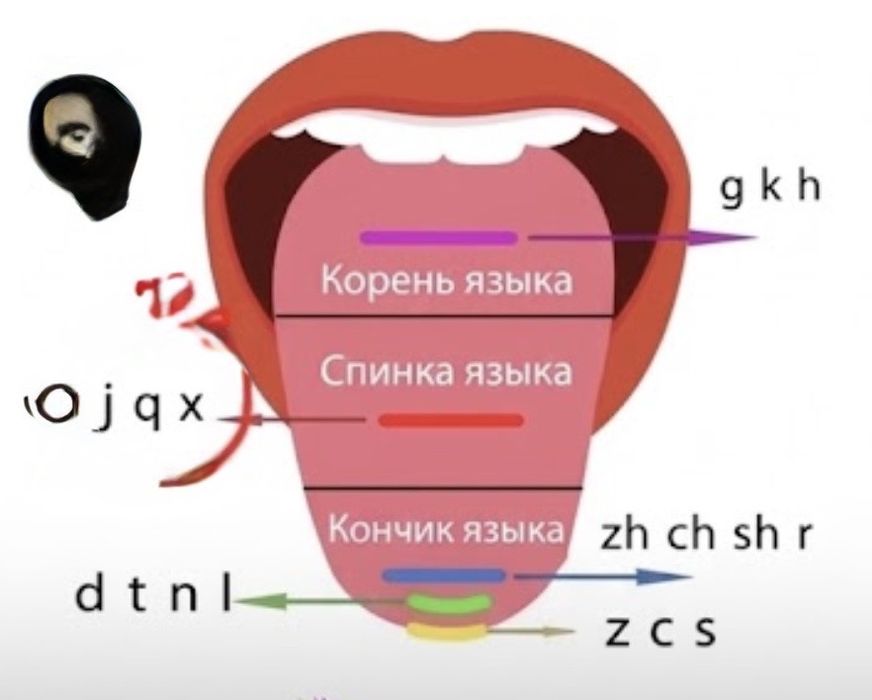 Репетитор китайского языка