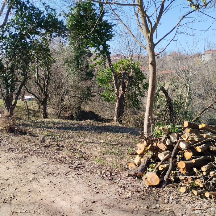 Имот в в село Голяма Желязна, област Ловеч