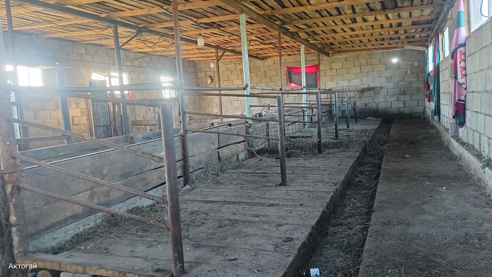 Продам дом село Актогай