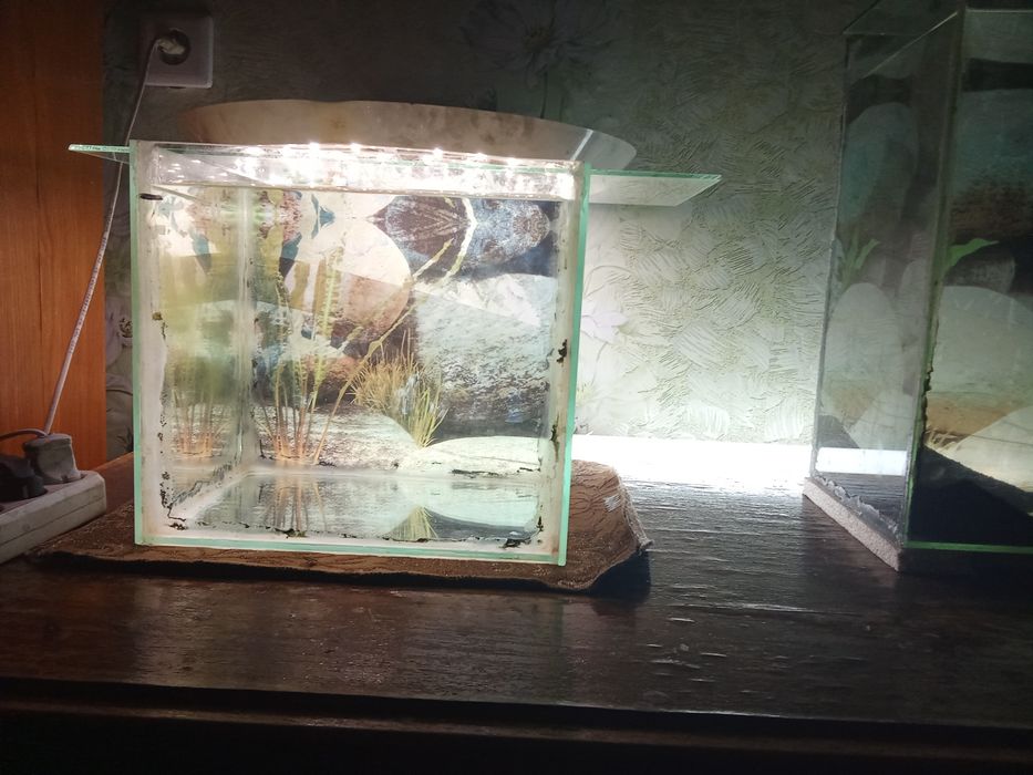 Два аквариумных кубика