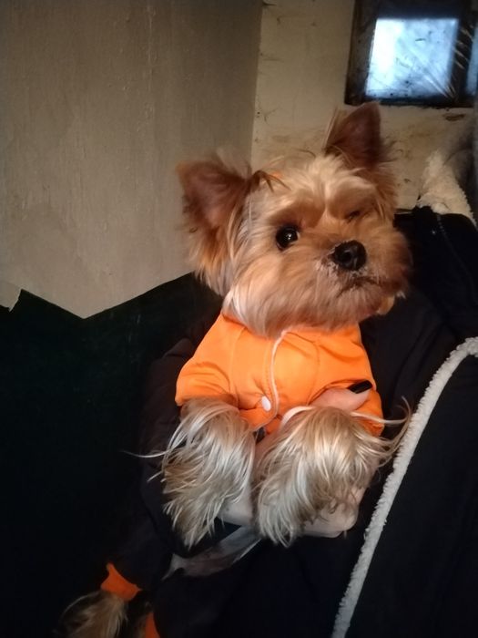 Ищем подругу для парня