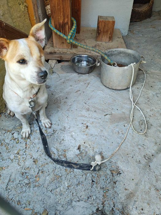 Намерено момиченце