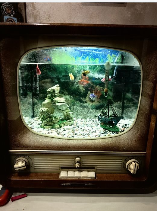 Аквариум от телевизор Рубин
