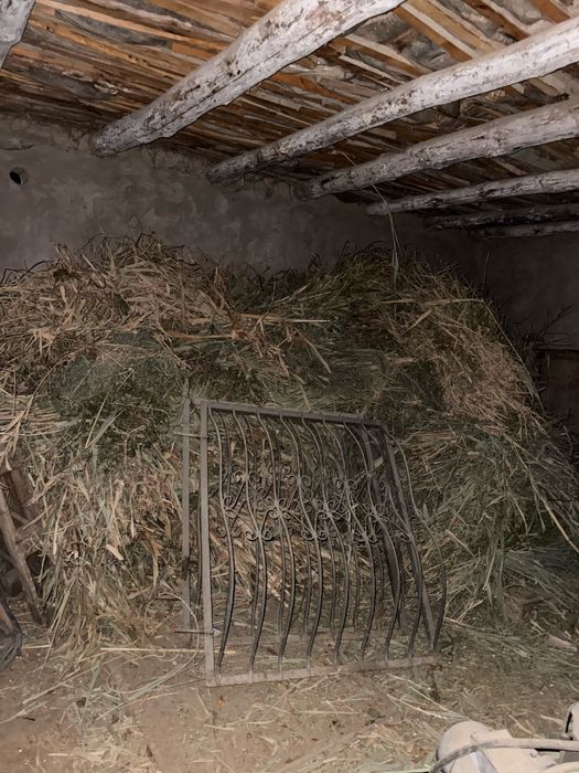 Шоп сатылады камыс