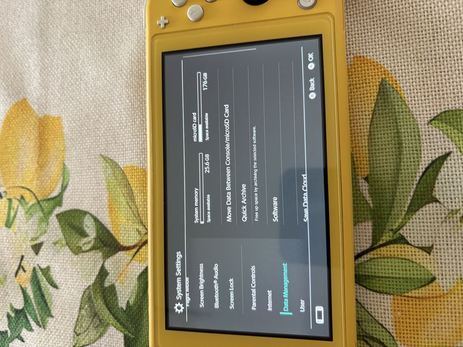 Nintendo switch lite