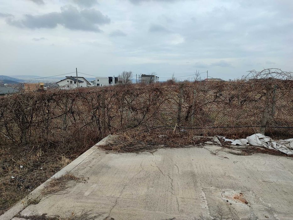 Prop Vand-Inchiriez teren Bucium zona Fundacul Socola Super Oferta !!!