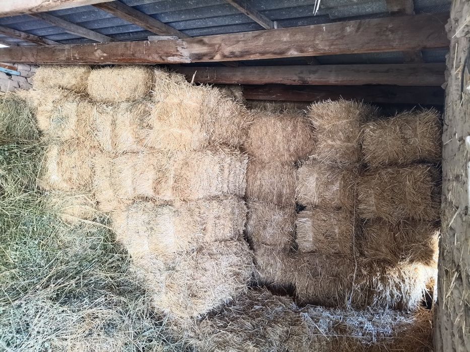 Бидайдың сабан прессі