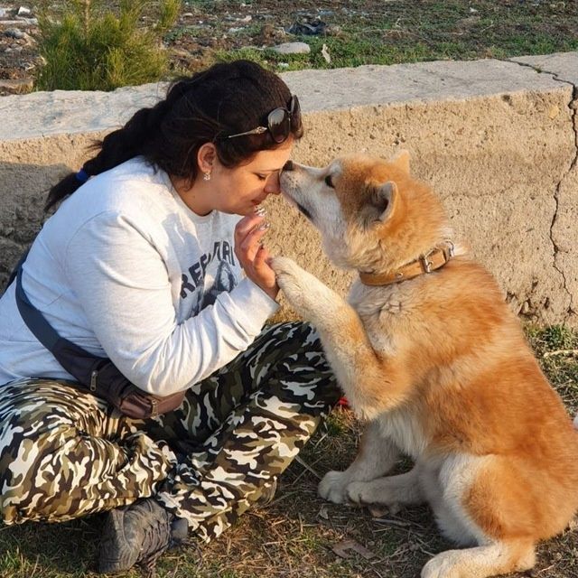 Профессиональная дрессировка