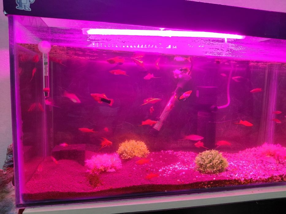 Аквариум 120 литр