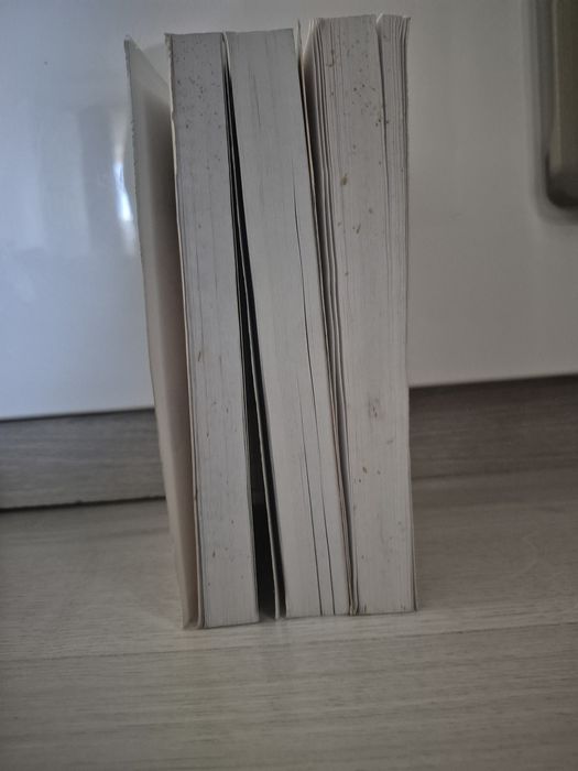 Set 3 cărţi loan Dan - Editura Lucman 2001 (Curierul secret, Cavalerii