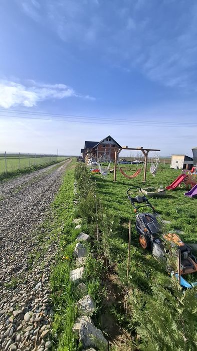 Echipa de mentenanță gazon , tuia ,Flori etc