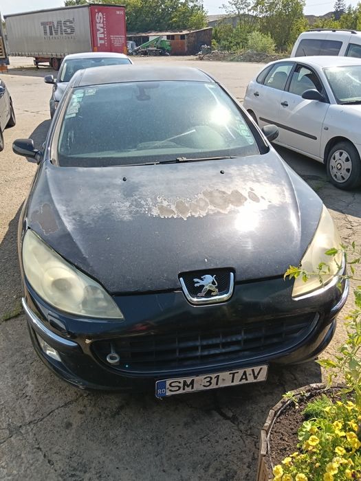PEUGEOT 407 2005 — imagine 2