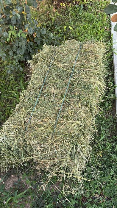 Baloți de lucernă