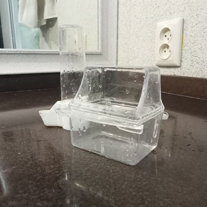 ! Попугай карэлла.