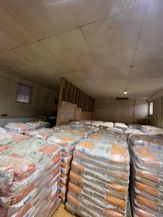 Samanta PIONEER | porumb | siloz | floare | NEOMA