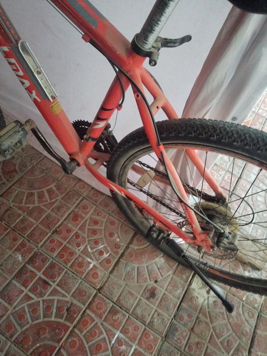 Велик  албуменивий