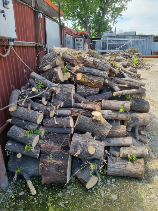 Дрова пилиные на чурки