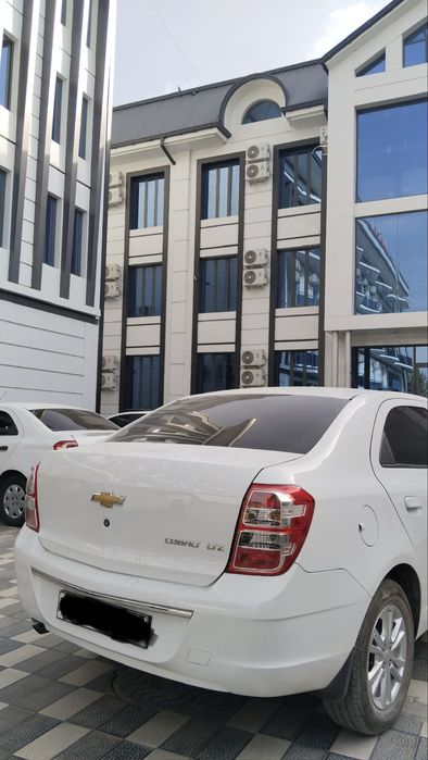 Cobald sotiladi yili 2024