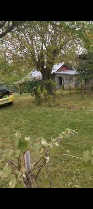 Casa de vânzare   jud Teleorman în Perii Broșteni Str:  Alexandru Ioan Cuza