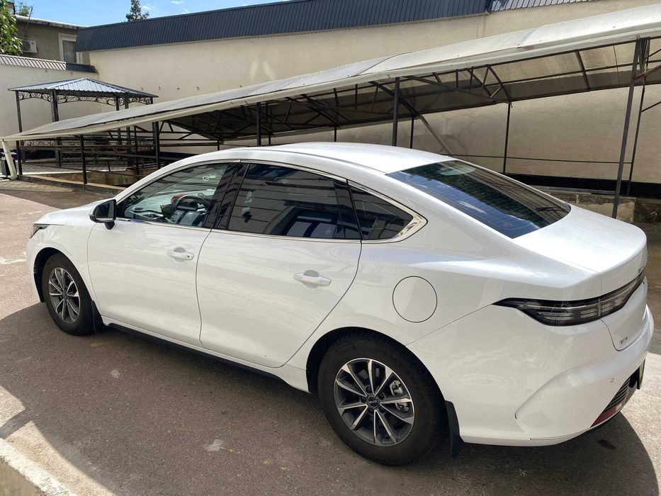Гибрид BYD Chazor 55